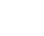 Evolution games at Wizary Casino